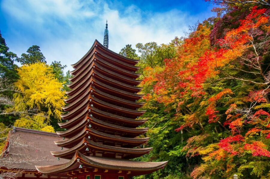 Nara: Private Tour with Private Guide - Why This Tour Works Well