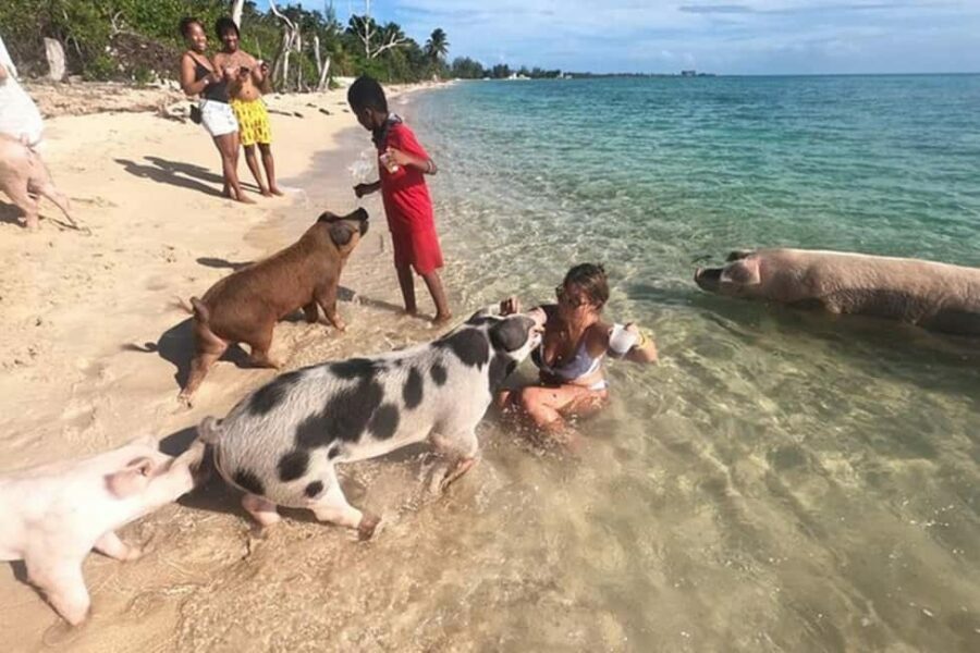 Nassau: Island Hopping Boat Trip with Lunch & Drinks - What Travelers Are Saying: Authentic Feedback