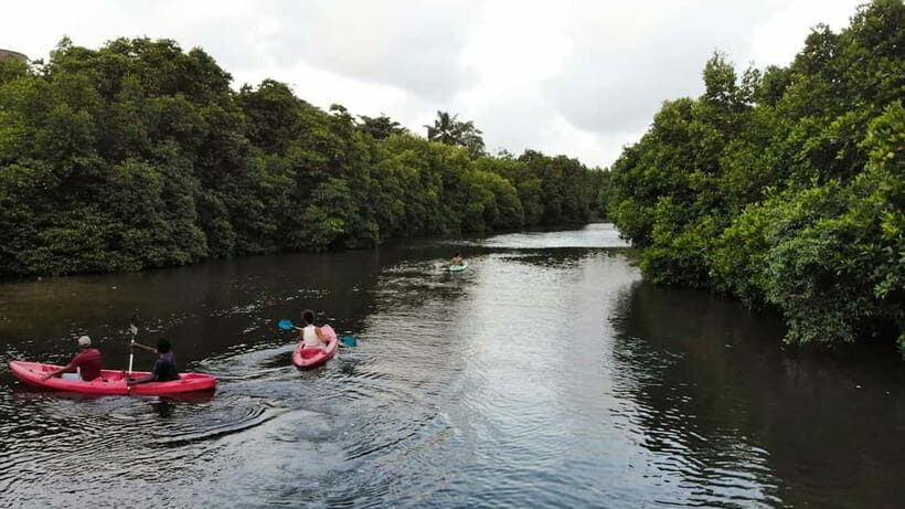 Negombo: Guided Kayaking Tour in the Lagoon - The Experience in Detail