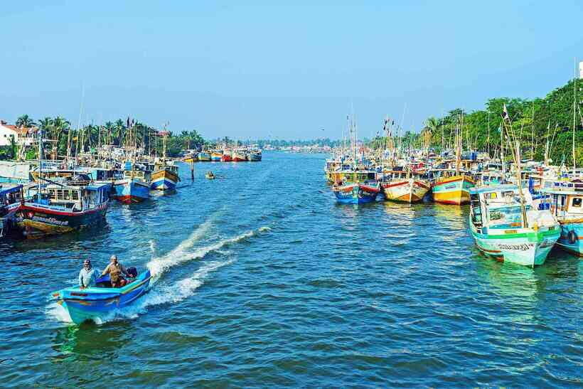 Negombo:Dutch Canal, Lagoon, Muthurajawela Private Boat Tour - The Value of This Tour