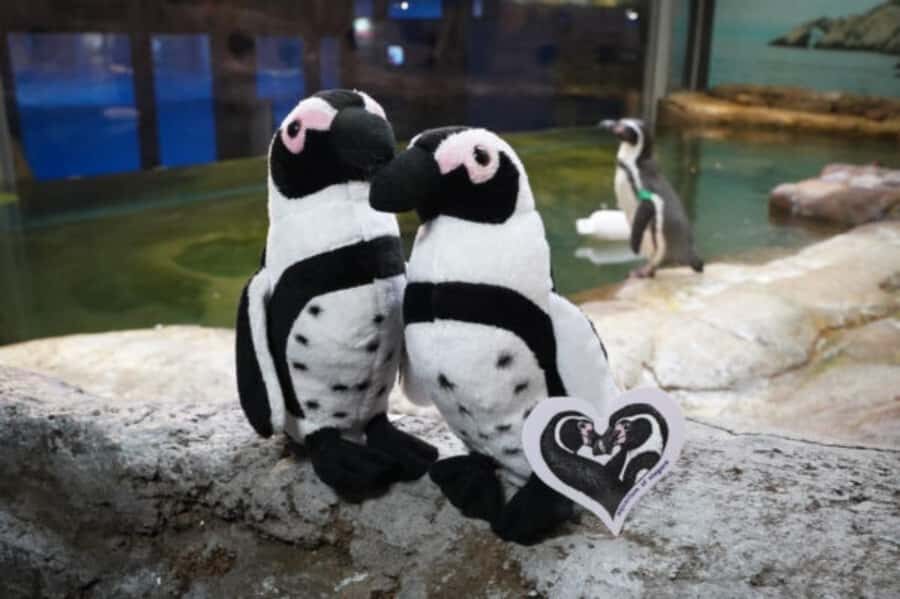 Niagara: Aquarium of Niagara General Admission - Real-World Experiences from Visitors