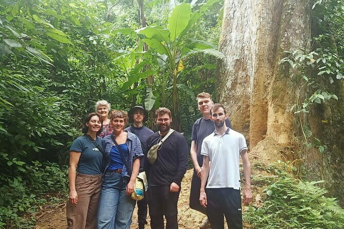 Ninh Binh One Day Cuc Phuong National Park Small Group Tour - What The Reviews Say