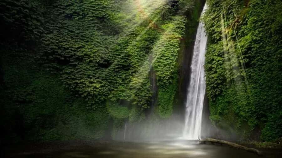 North Bali: Explore Munduk Waterfall Trekking Experience - Traversing the Plantations and Learning About Local Agriculture