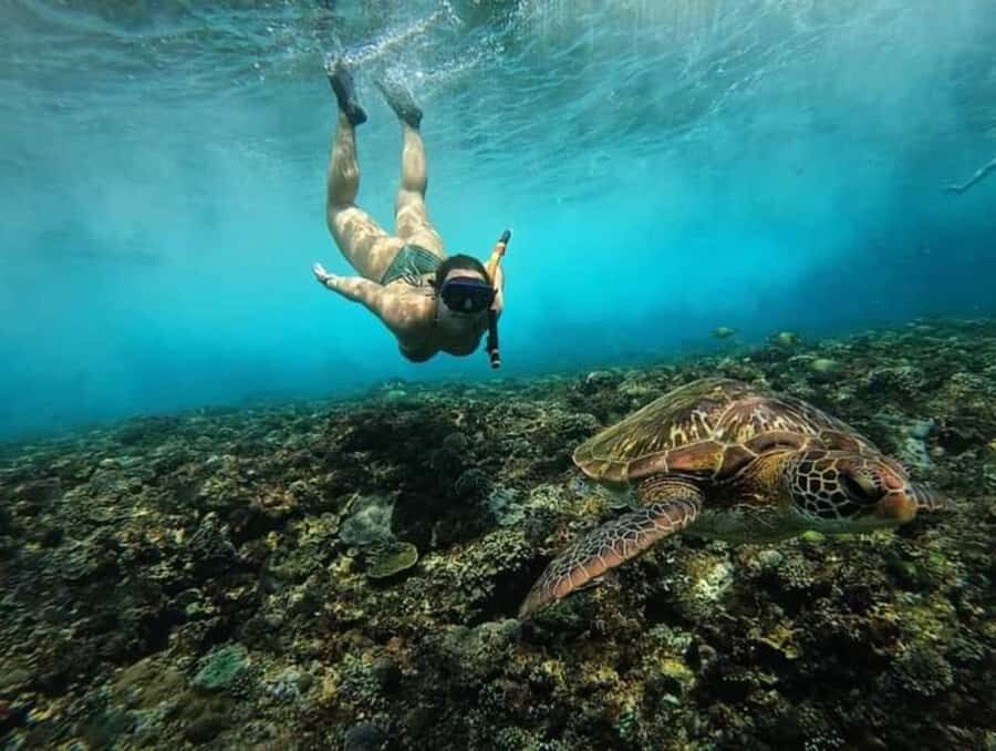 NUSA PENIDA ALL-INCLUSIVE WEST TRIP WITH 3 SPOT SNORKLING - The Value of This Tour