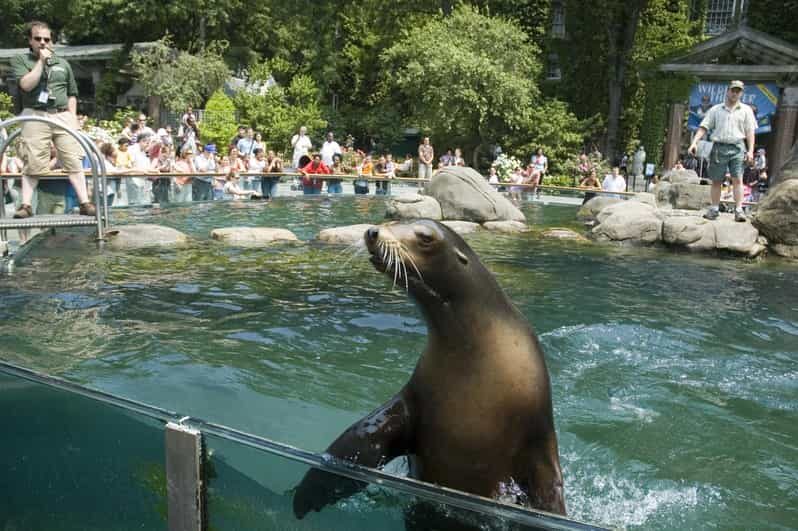 NYC: Central Park Zoo Entry Ticket & Manhattan Walking Tour - Practical Details and Value