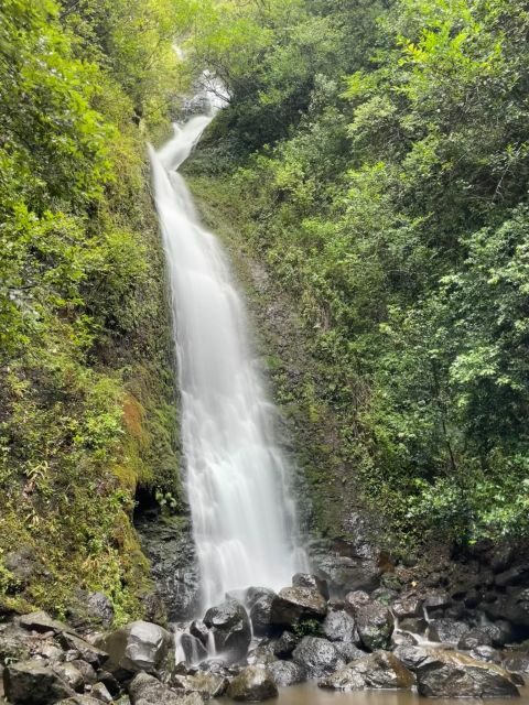 Oahu: Hidden Hawaii Waterfall Hike and Beach Tour - What Makes This Tour Stand Out?