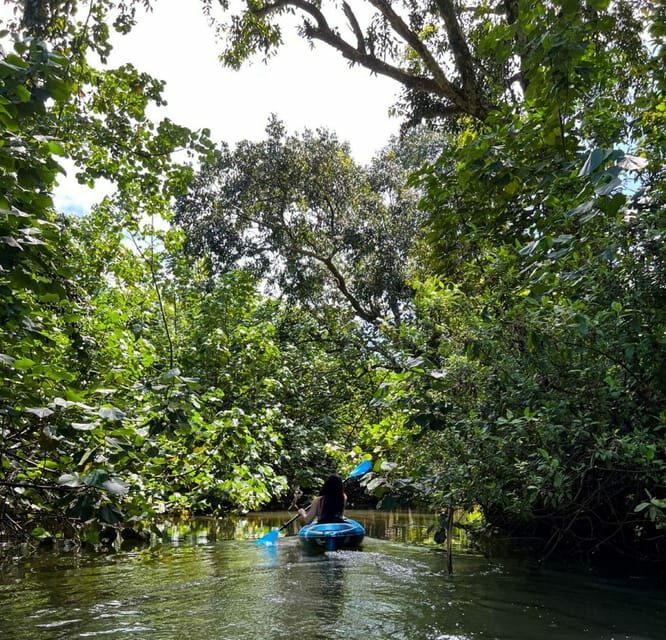 Oahu: Single & Double Kayak 3-Hour River Rental - Scenic Highlights and Water Access