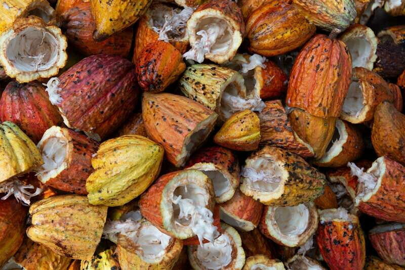 Oaxaca: Chocolate and Ancestral Drinks Tour - A Closer Look at What You’ll Experience