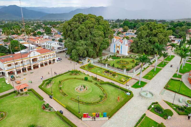 Oaxaca: El Tule tree, Teotitlan Village & Mezcal Tour - Who Should Consider This Tour?