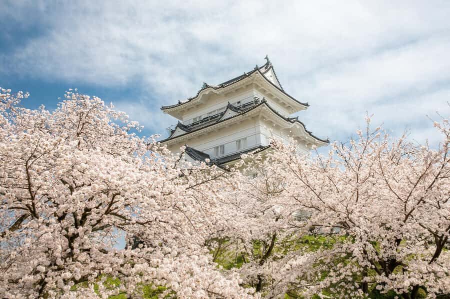Odawara: Guided Ninja & Samurai Tour of Odawara Castle - The Practical Side: Logistics, Value, and Tips