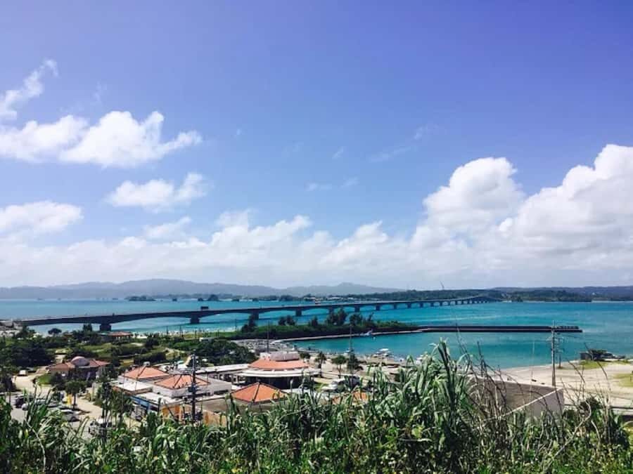 Okinawa: Private Kouri Island, Aquarium & Castle Guided Tour - Practical Details and Value