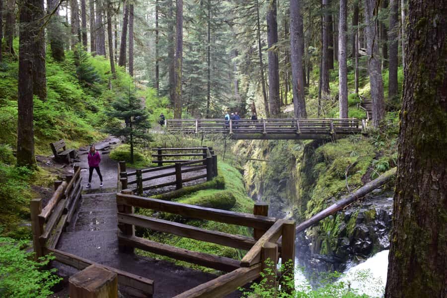 Olympic National Park: Sol Duc Falls & Hurricane Ridge Tour - Transportation and Group Size