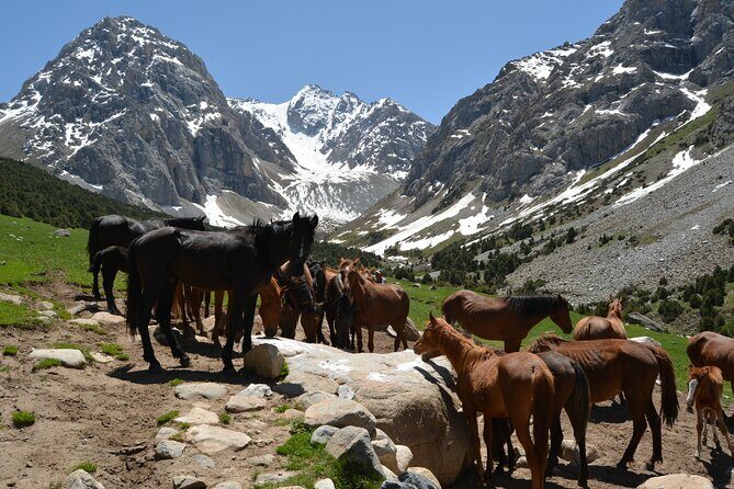 One day Trek in Osh to Sacred Sites and Panoramic Views - The Climb to Sacred Mountain’s Praying House