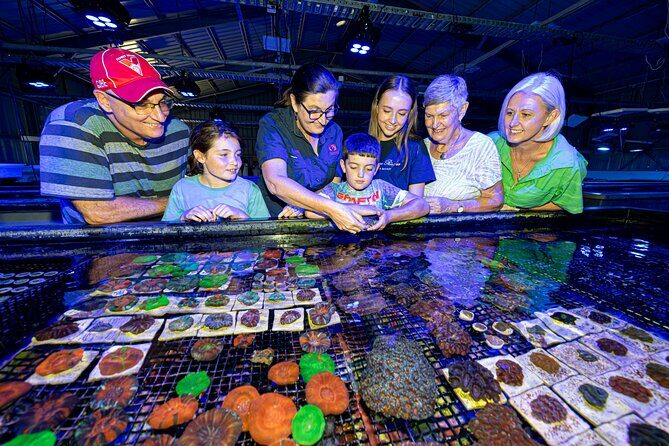 One Hour Coral Farm Tour, Discover Australia's Marine Life - The Itinerary: What to Expect