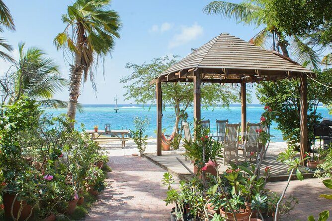 Oranjestad AUA Airport Transfer to Oranjestad/Noord/Cura Cabai - The Experience: A Practical Perspective