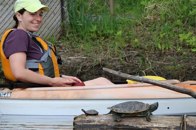 Ottawa Ecological Reserve Kayak Tour with TURTLE Sightings - The Itinerary in Detail