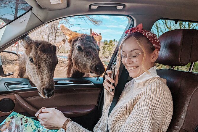 Ottawa Parc Omega Private Tour with Hotel Transfer - The Itinerary – What to Expect