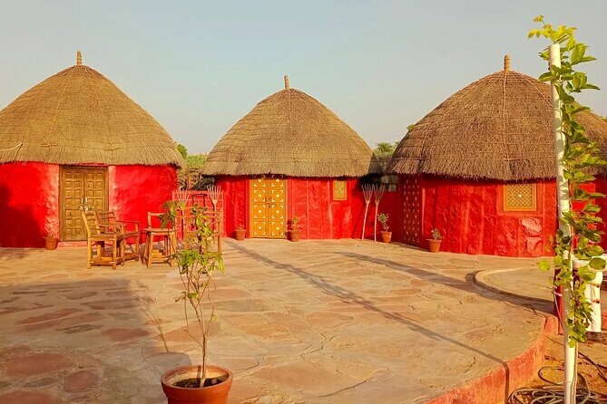 Overnight Desert Stay with Camel Safari and Homemade Food - OM - Practical Details: What to Expect and Why It Matters