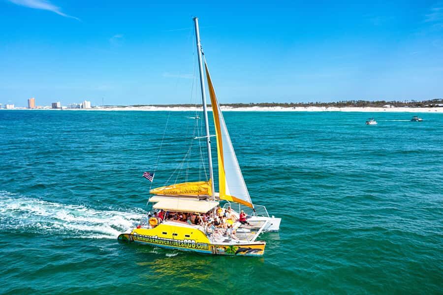 Panama City Beach: Shell Island Catamaran Snorkeling Tour - Who Will Love This Tour?