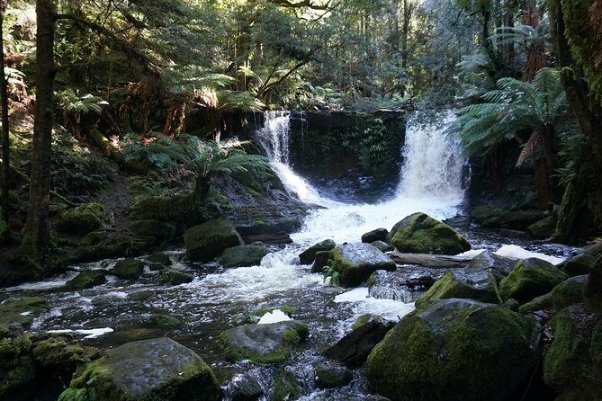 Peaks, Falls & Furry Locals: Mt. Field & the Derwent - Why This Tour Is a Great Choice