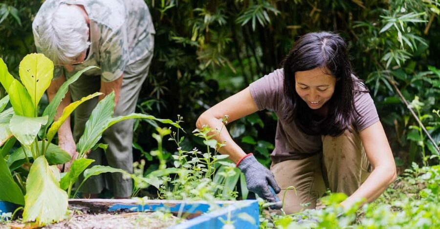 Penang: Tropical Spice Garden Entrance Ticket & Guided Tours - What You Can Expect During Your Visit