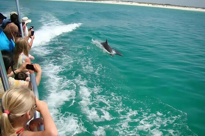 Pensacola Beach Dolphin and Scenic Tour - Who Will Love This Tour?