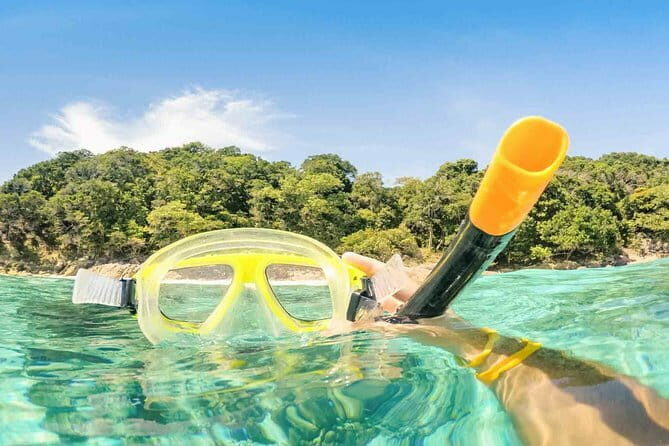 Phi Phi Islands Adventure: Ferry, Snorkeling & Island Lunch - What You’ll See and Do on the Tour