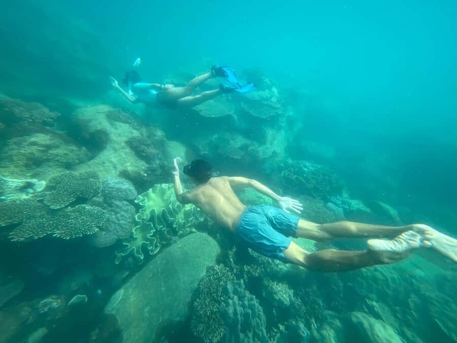 Phu Quoc: Snorkeling & Island Discovery Full-Day Tour - What the Marine Reefs and Snorkeling Are Like