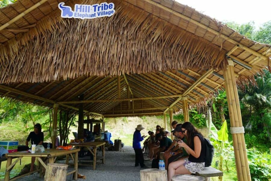 Phuket: Elephant Sanctuary Guided Tour with Hotel Transfers - The Details — Itinerary Breakdown