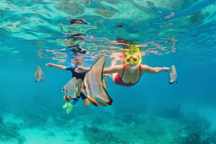 Phuket: Similan Day Trip by Speedboat - The Stops That Matter
