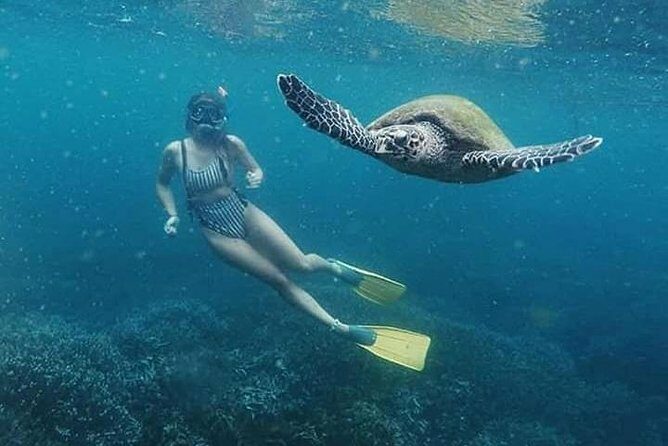 Pigeon Island Snorkeling Swim with Sharks & Turtles - Final Thoughts