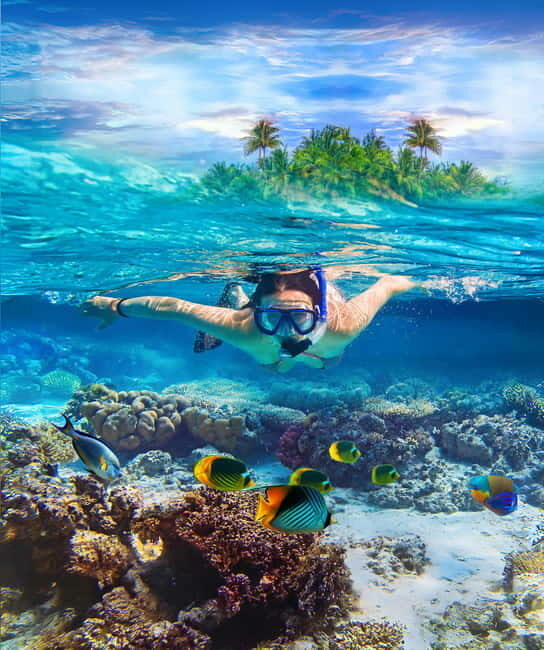 Pigeon Island Snorkeling Tour from Uppuveli Beach - Who Will Love This Tour?