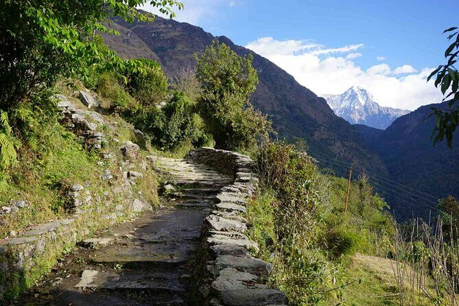 Pokhara: 4 Day Poon Hill Trek - Authentic Experiences and Highlights