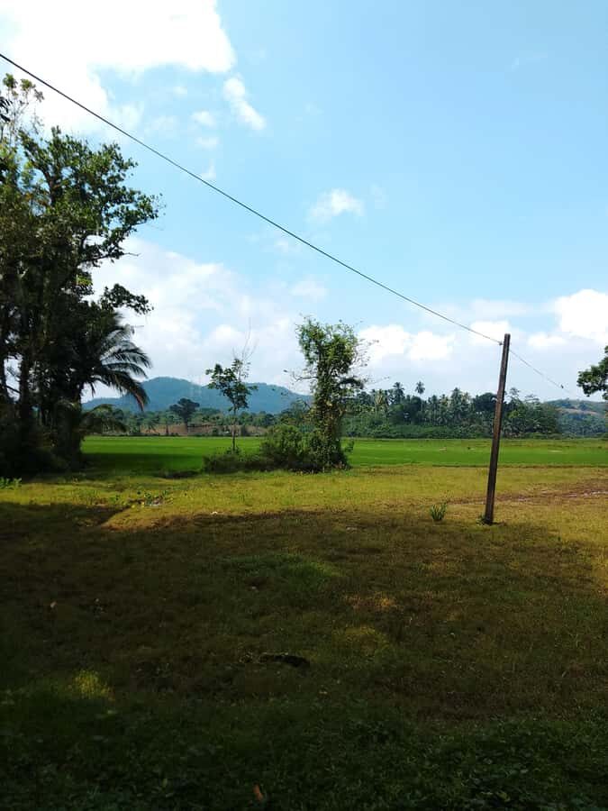 Polgampola Waterfall Tour by Tuk Tuks From Bentota area - Transportation & Group Size