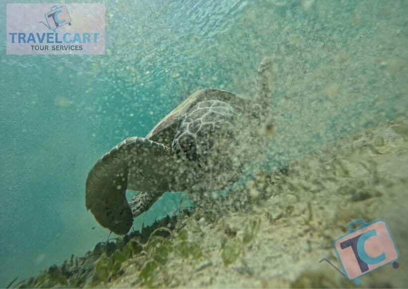 PORT BARTON: Full-day Shared Island Hopping Tour A - Who Will Love This Tour?