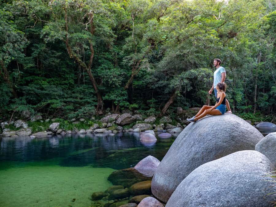 Port Douglas: Daintree Rainforest and Cape Tribulation Tour - The Itinerary: A Day Filled with Nature and Scenic Marvels
