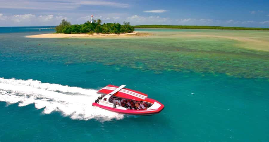 Port Douglas: Half-Day Low Island and Lagoon Snorkeling Tour - A Detailed Look at the Tour