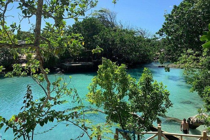 Port Vila Full Day Tour - Experience the Real Vanuatu - Transport, Group Size, and Timing
