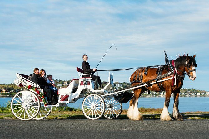 Premier Horse-Drawn Carriage Experience in Victoria - Exploring the Itinerary