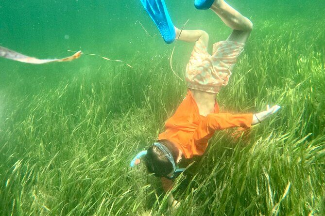Premier Scalloping Adventure on Florida's Nature Coast - A Closer Look at What to Expect
