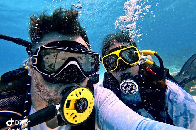 Private 2-Tank Dive with PADI Instructor for Certified Divers - Who Should Consider This Tour?