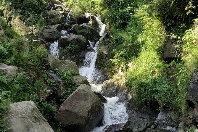 Private 6 hrs Mcleodganj & Dharamshala City Tour - Practical Considerations & Tips