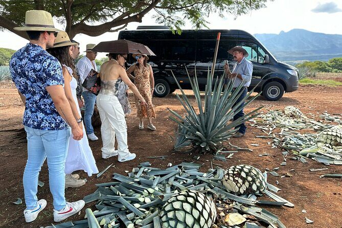 Private Artisanal Tequila Tour - The Experience Through Travelers’ Eyes