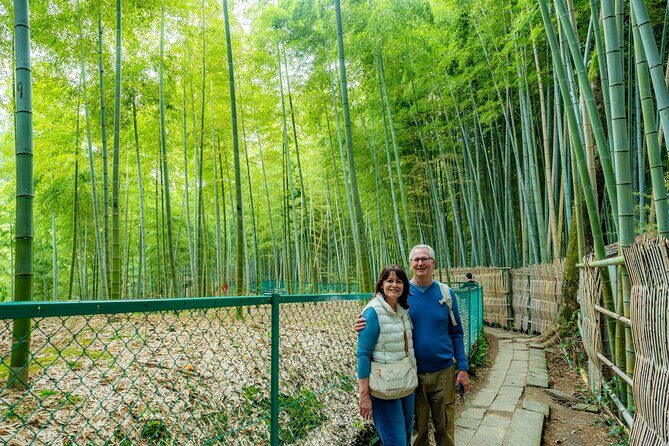 Private Car Tour to KYOTO, OSAKA or NARA | KOBE Shore Excursion - Transportation & Comfort
