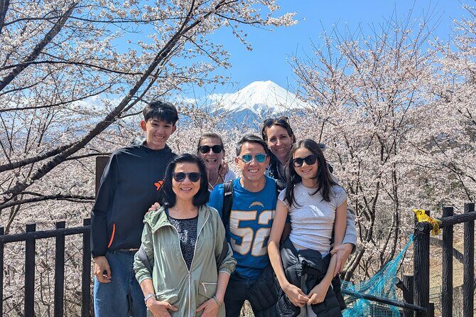 Private Car Tour to Mt. Fuji and Kawaguchiko or Hakone - Who Should Book This Tour?