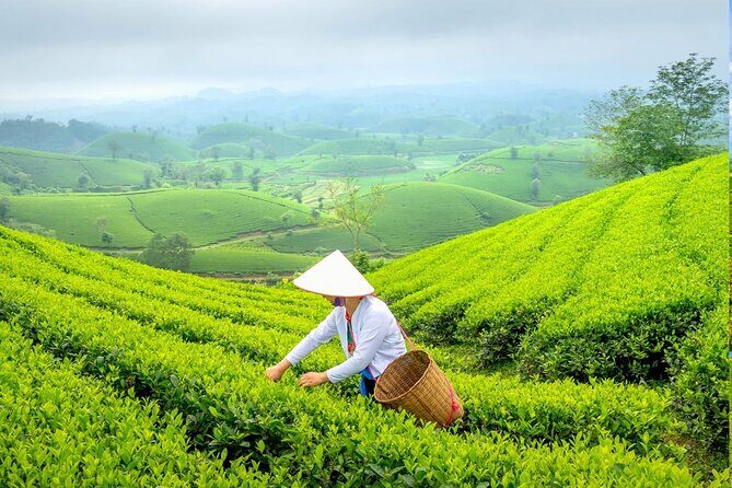 Private Chiang Rai Day Trip with Golden Triangle from Chiang Mai - Exploring the Itinerary in Detail