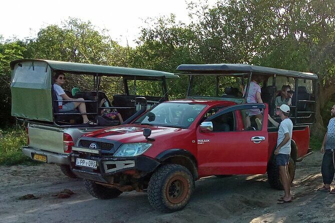 Private Day Tour from Colomb to Yala Safari (Leopard Safari Tour) - Who Is This Tour Best For?