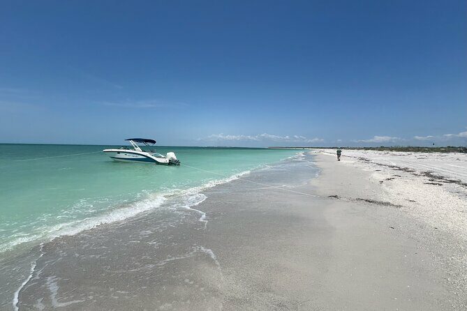 Private Dolphin Watching Beach Day Getaway - Who Will Love This Tour?