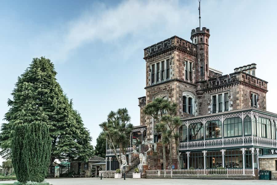 Private Dunedin City Highlights and Otago Peninsula Day Tour - Practical Considerations and Value