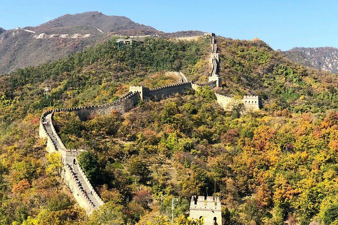 Private Great Wall Tour from Tianjin Cruise Port - Authentic Experiences and Real Feedback
